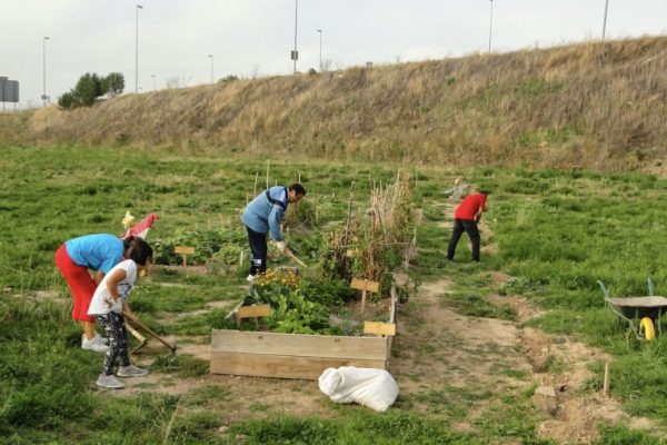 La Huerta de Belén: un proyecto pedagógico