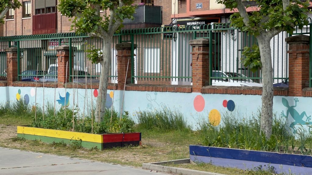 Huerta escolar.